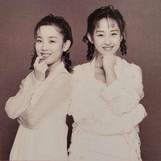 vol.295 Wink in 1995