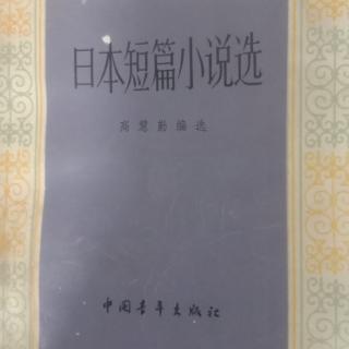 小说《恐慌》85开高健