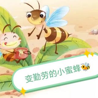 变勤劳的小蜜蜂🐝