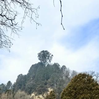 《道德經》《黃帝外經》春溫似疫篇第七十二