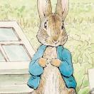 01彼得兔的故事