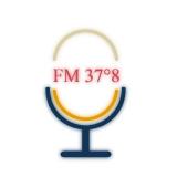 FM37度8