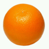 柑果橙