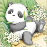 小熊猫国宝