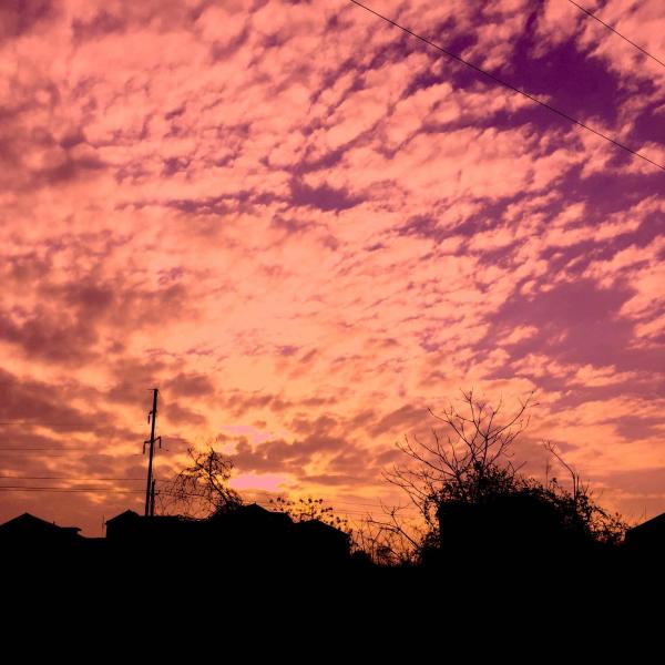 2.8 61号作品《煮饺子》