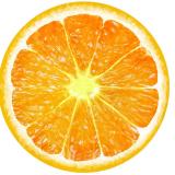西橙Orange