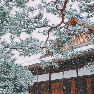 🌿分享日本女诗人金子美铃的诗《积雪》
