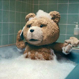 泰迪熊🐻bear