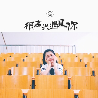 我不是那些年的沈佳宜，我是少女时代的林真心  文/十二朵女王