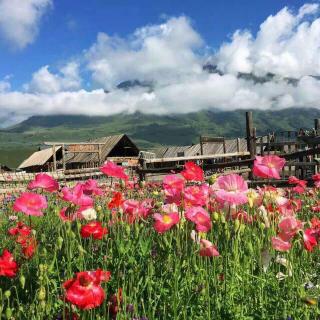 《 小乌鸦 》《磨坊主》《金币》《蜘蛛和蜜蜂》