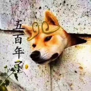 渐渐变老