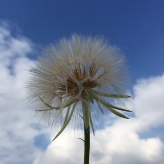 《拉萨的天空》姜振凯