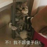 昆贝