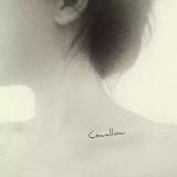 Cswallow