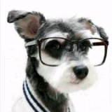 戴眼镜的狗头人