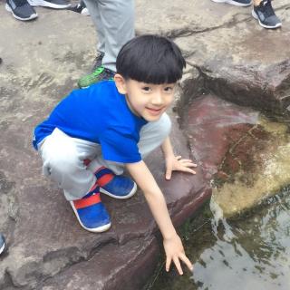 为什么面包里会有许多小孔