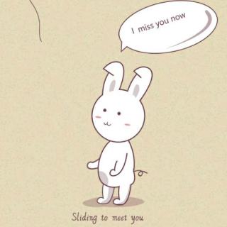 懂礼貌的小白兔