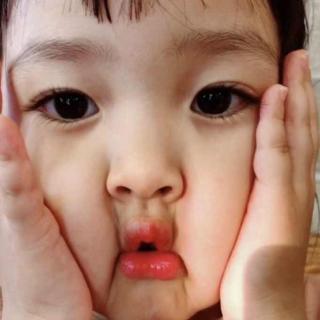 第七组 肖冰如 舒珊珊 金晨琳 张哲远