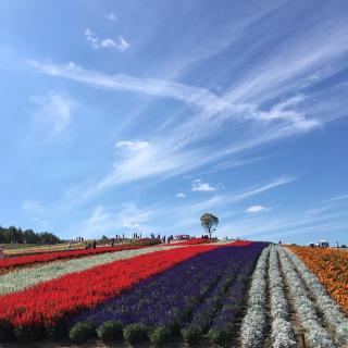 【旅行那些事】也许你也有过一个疗伤之旅