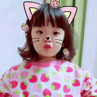 两只老虎爱跳舞