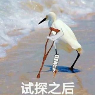 《你又何必拒绝温暖抵达》沈肯尼