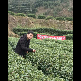 利川红茶茶艺解说词中英语版