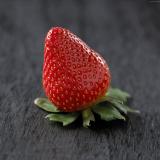 🍓诺宝🍓