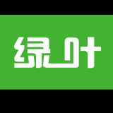 绿叶科技集团