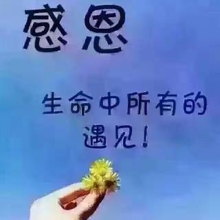 觉查自己