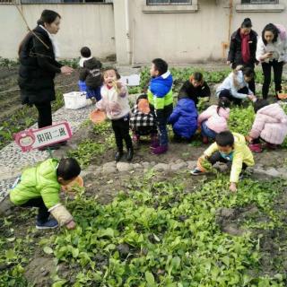 《阳光睡前故事》好孩子懂礼貌