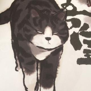 20171119《寻找大熊猫20》朗读第九十五天