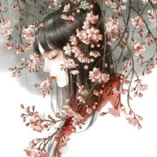 甄嬛传之华妃重生,背书