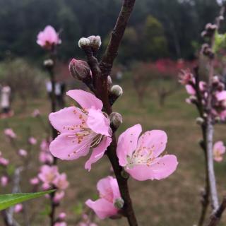 10月Alice阅读打卡第4天