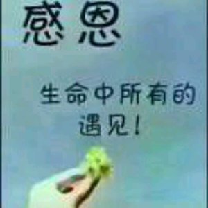 小毛虫