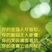 夏洛的网《晚饭前》