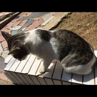 理论73 道路情况的判断与识辨 学车教程