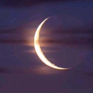 沈阳慕马大案纪实020