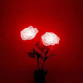 453.世界名曲_Ave Maria (圣母颂-舒伯特)