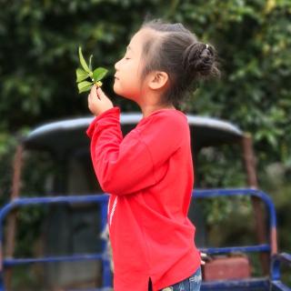 1天7下午 1506 左传 石碏谏宠州吁