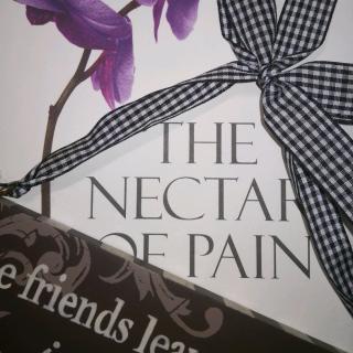 The Nectar of Pain 开篇 11.22
