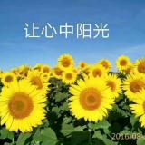 ☀太阳花☀🎤