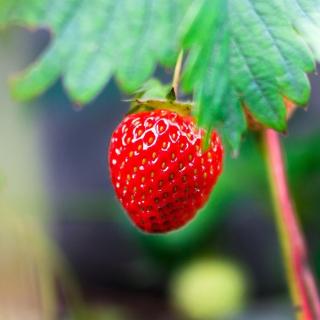 熊月慈2018年10月31日英语录音