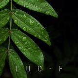 LUC-F67