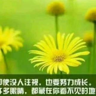 河南小龙妈诵读《父母规》