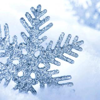 【《我是怎样编辑一份农业报的》2】在线收听_77雪点77_荔枝