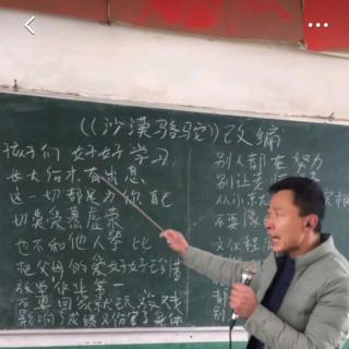 2小树苗与大树的对话