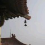 我欲成仙🏊的播客