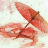 小红伞🐲