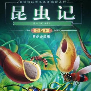 《小橘灯》