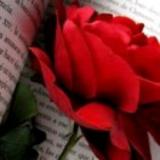 铿锵玫瑰😄🌙